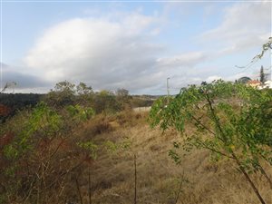 1323 m² Land available in Escombe