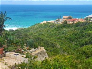 1016 m² Land available in Dana Bay