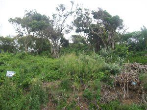 1137 m² Land available in Trafalgar