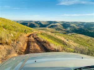 80 ha Farm in George Rural