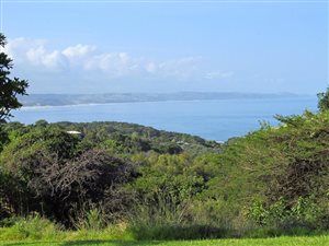 1031 m² Land available in Khamanga Bay