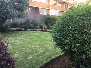 1 Bed Flat in Springs Central