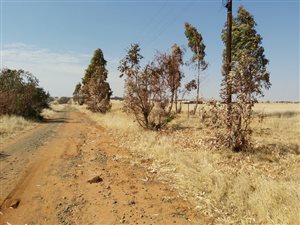 4 m² Land available in Martindale