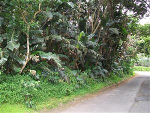 1032 m² Land available in Trafalgar