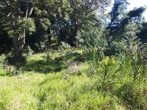 2500 m² Land available in Boughton
