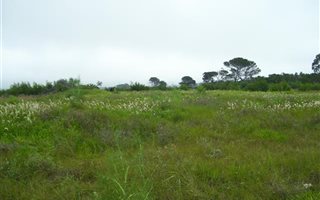 1034 m² Land available in Clarendon Marine