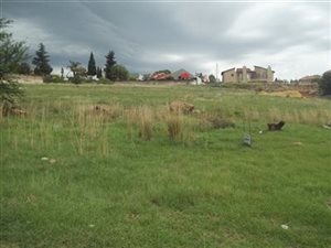 7000 m² Land available in Elandshaven