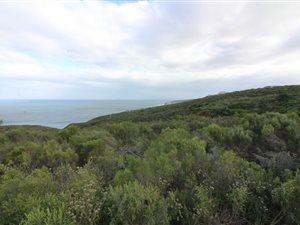 2523 m² Land available in Breakwater Bay Eco Estate
