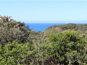 799 m² Land available in Cintsa
