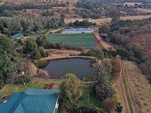 549.3 ha Farm in Lydenburg