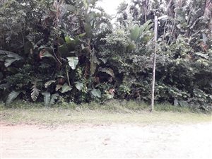 1060 m² Land available in Leisure Bay
