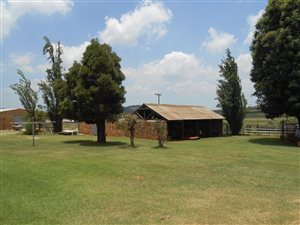 46 ha Farm in Nooitgedacht