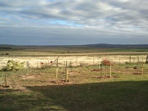 9 ha Farm in Vlees Bay