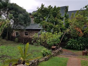 67 ha Farm in Tzaneen