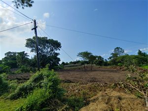 945 m² Land available in Melmoth