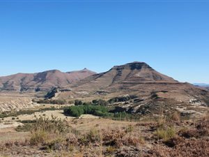 1414 ha Farm in Ficksburg