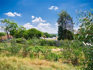 1611 m² Land available in Craighall