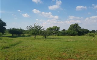 25.2 ha Farm in Zeerust