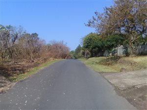 1351 m² Land available in Palm Beach