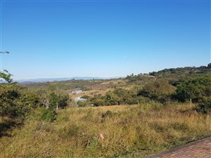 1.3 ha Land available in Wild Fig Estate