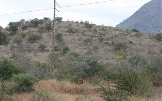 4.7 ha Land available in Steelpoort