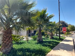 295 m² Land available in Munsieville South