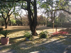 1 ha Farm in Linbro Park
