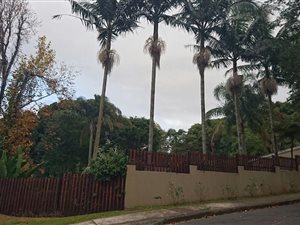 3 Bed House in Athlone