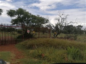 21 ha Farm in Honingnestkrans