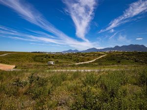 1570 m² Land available in Kingswood Golf Estate