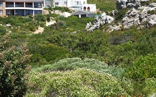 1166 m² Land available in Rooi Els