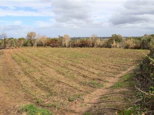 11.2 ha Farm in Gonubie