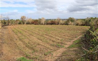11.2 ha Farm in Gonubie