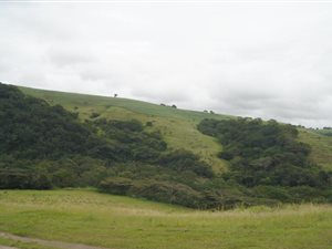 40 ha Farm in Shakaskraal