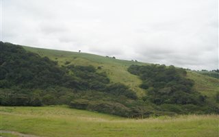 40 ha Farm in Shakaskraal
