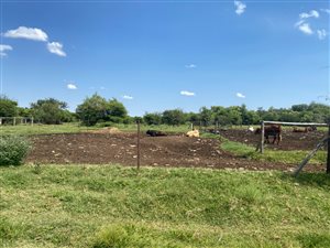 625 ha Farm in Zeerust