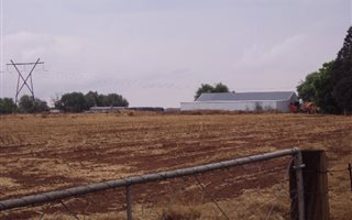 21 ha Farm in Spitskop