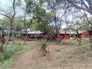 37 ha Farm in Ashburton