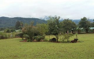 1503 m² Land available in Sabie