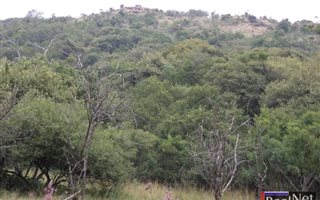 21 ha Farm in Klipkop