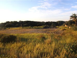 2814 m² Land available in Oslo Beach
