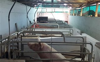 59 ha Farm in Uitenhage Central