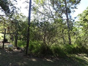 1447 m² Land available in Palm Beach