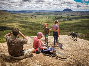 714.7 ha Farm in Howick