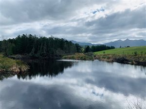 220 ha Farm in Sedgefield