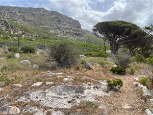 1820 m² Land available in Stonehurst Mountain Estate