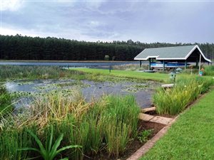5 Bed House in Albert Falls