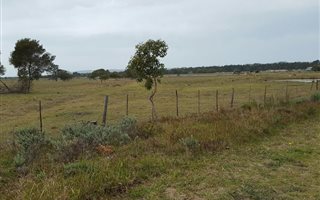 4 ha Land available in Chelsea