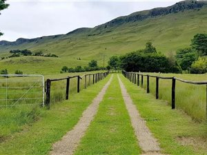 23.5 ha Farm in Dargle
