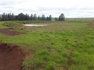 77 ha Farm in Stutterheim